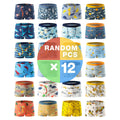 Boys' Cartoon Boxer Briefs Twelve Pack with Random Animal and Vehicle Prints for Daily Underwear Changes